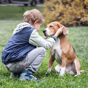 Show 1435: Beyond Companionship: A Veterinarian's Take on the Pet-Human Health Connection