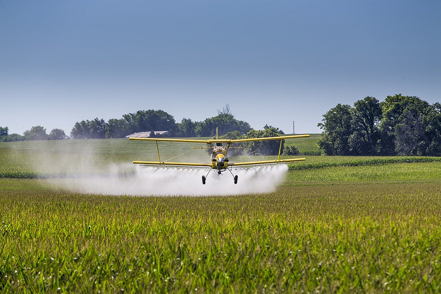Show 1440: Protecting Your Immune System from Everyday Toxins