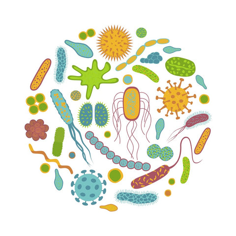 Show 1336: How the Antiviral Gut Tackles Pathogens from the Inside Out
